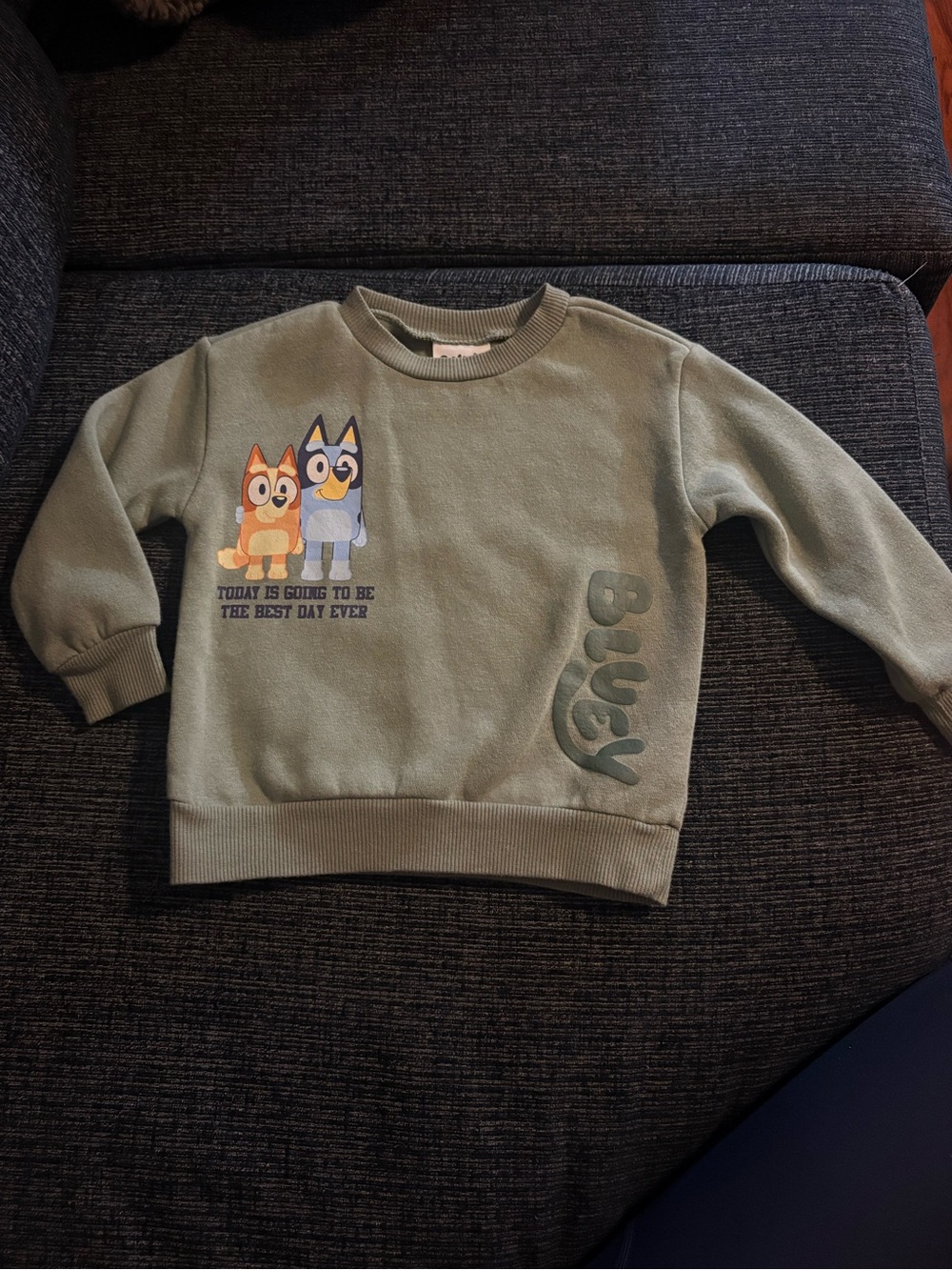 Bluey Sweatshirt